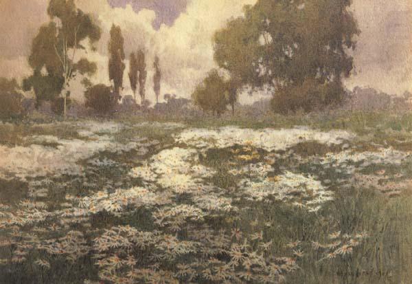 Field of Daisies, unknow artist